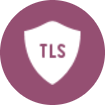 icon encryption1